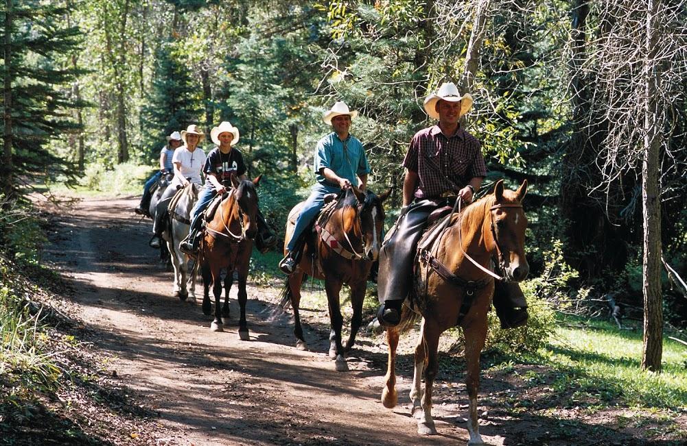 COWBOY GATHERING TRAIL RIDE