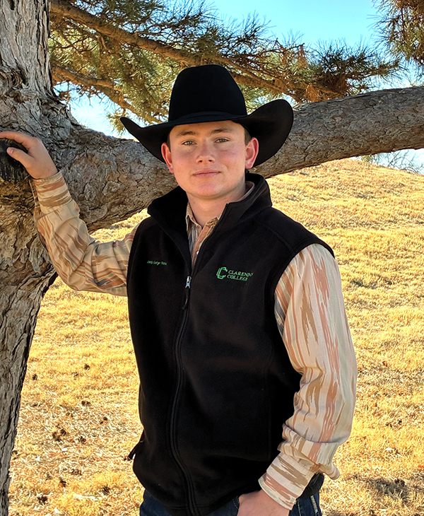 Jack George 2026 web